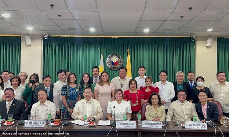 House panel approves OVP budget deliberation in a snap