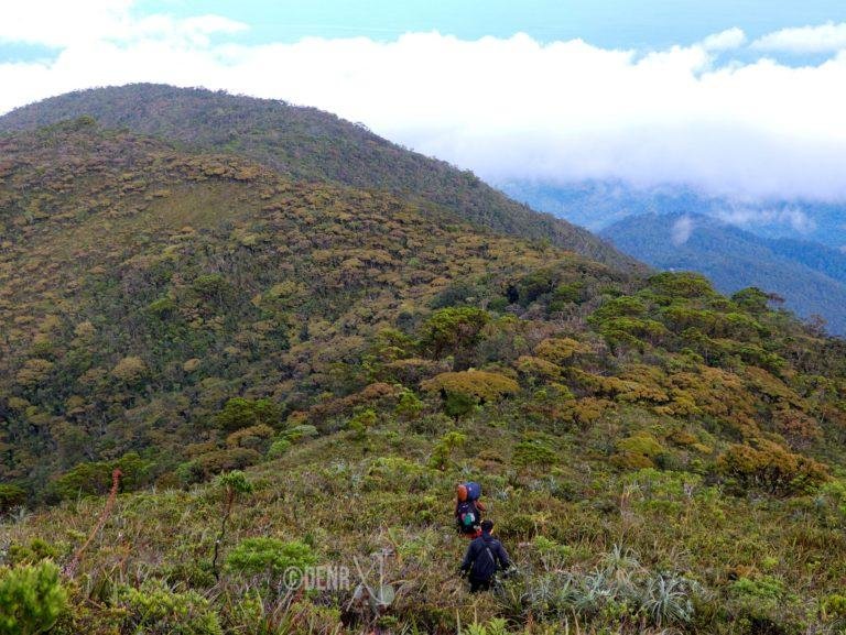 Mt. Hamiguitan  in Davao Oriental is beyond compare- DENR
