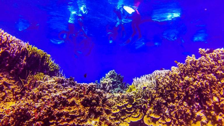Exploring Mati City’s  underwater paradise