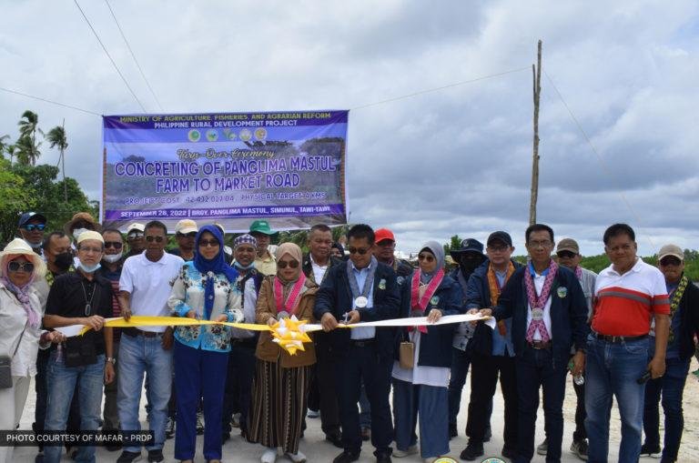 P42.4-M farm-to-market road to spur agri production in Simunul, Tawi-Tawi