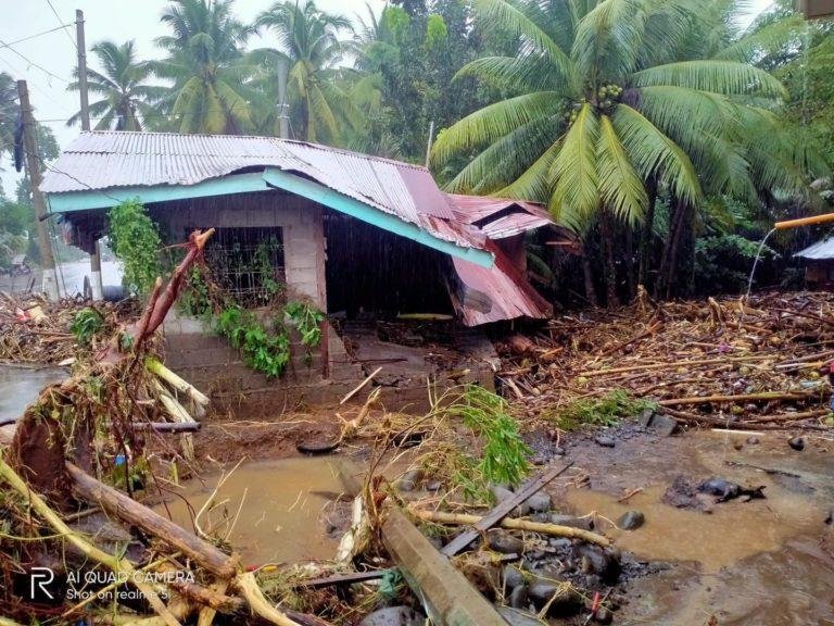 Disaster council reports 51 shear line-releated deaths
