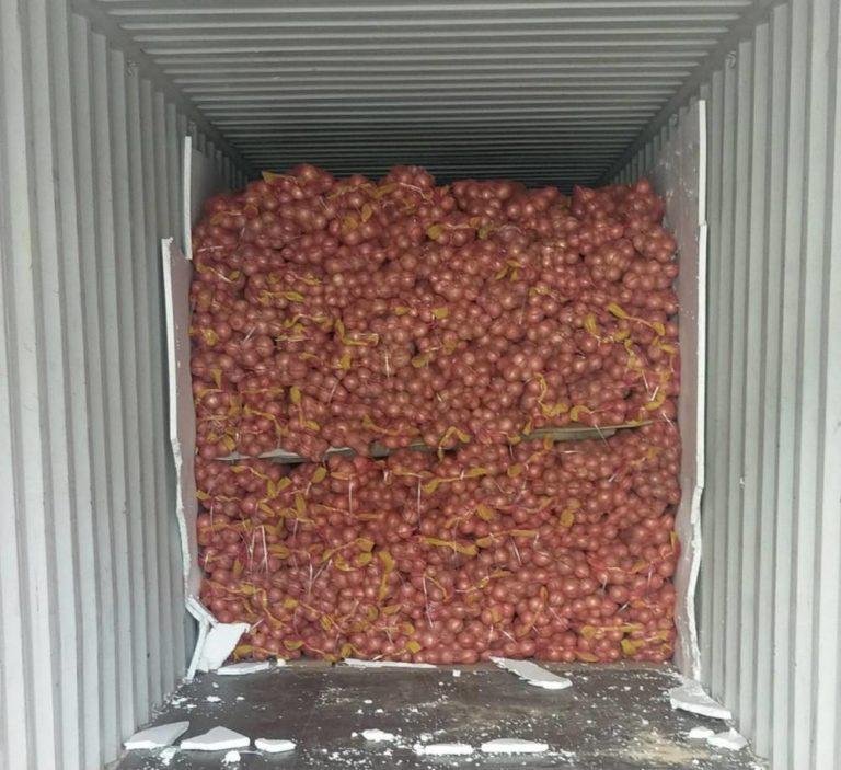 Customs intercepts P17M worth of smuggled onions