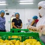 Davao Region to export Durian to Chiina