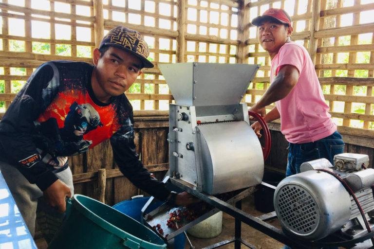 800 Talakag vegetable, coffee farmers benefit from DOST’s assistance