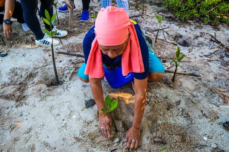 Davao Oriental marks International Women’s Day with mangrove planting