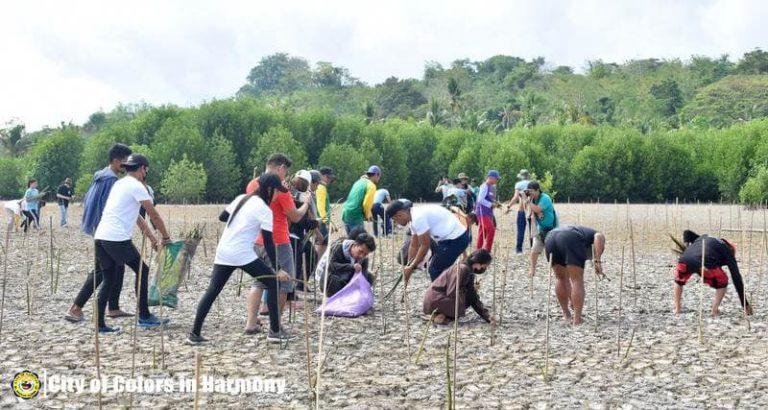 Lamitan City employees plant 2K mangroves to protect bays, shores