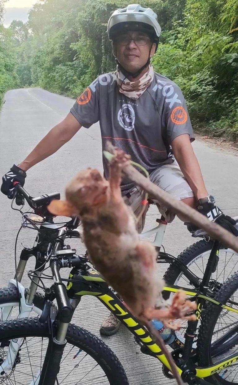 Patayng tarsier nakit-an sa biker