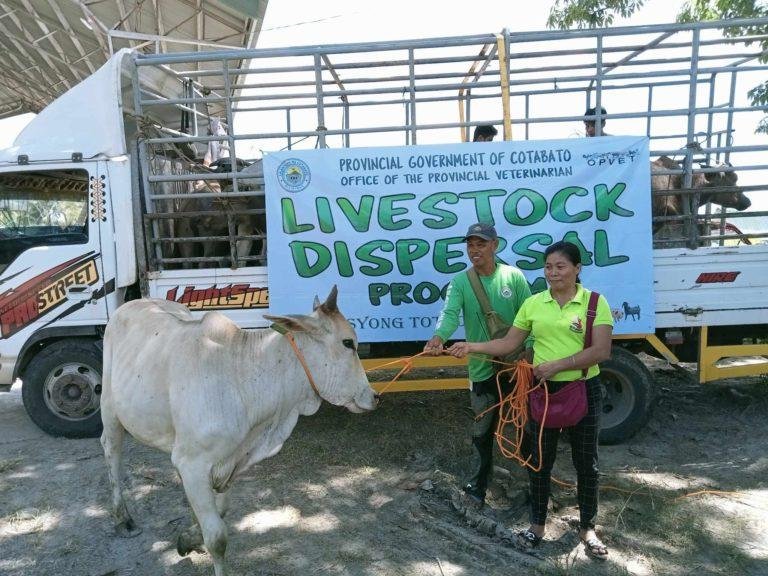 Farmers in Mlang and Tulunan, Cotabato Province Receive Livestock Animals from the Government