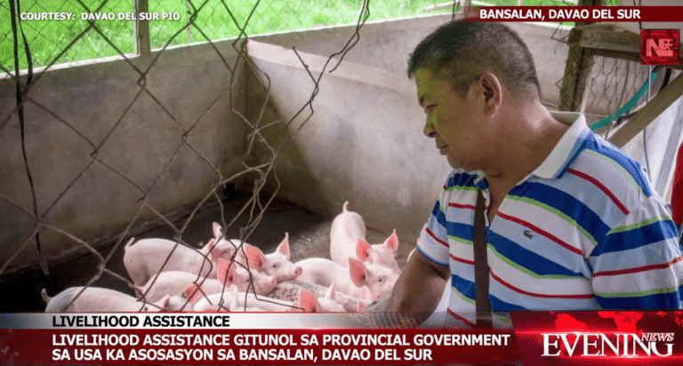 Davao del Sur gives livelihood assistance to local association
