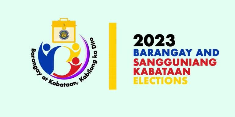 The cost of electing local leaders