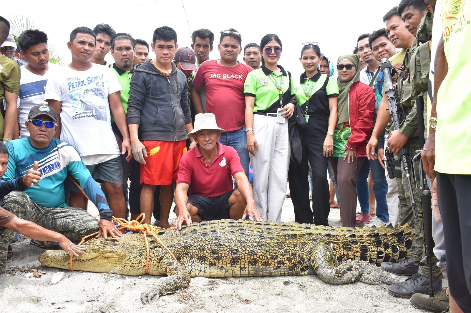 palimbang-crocodile