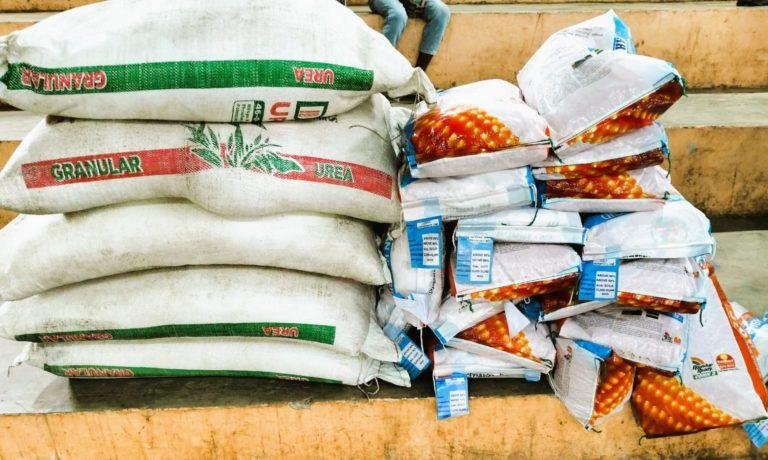 Cotabato gov’t distributes over 240 bags of genetically modified hybrid corn seeds worth P1.08 Million to Banisilan farmers