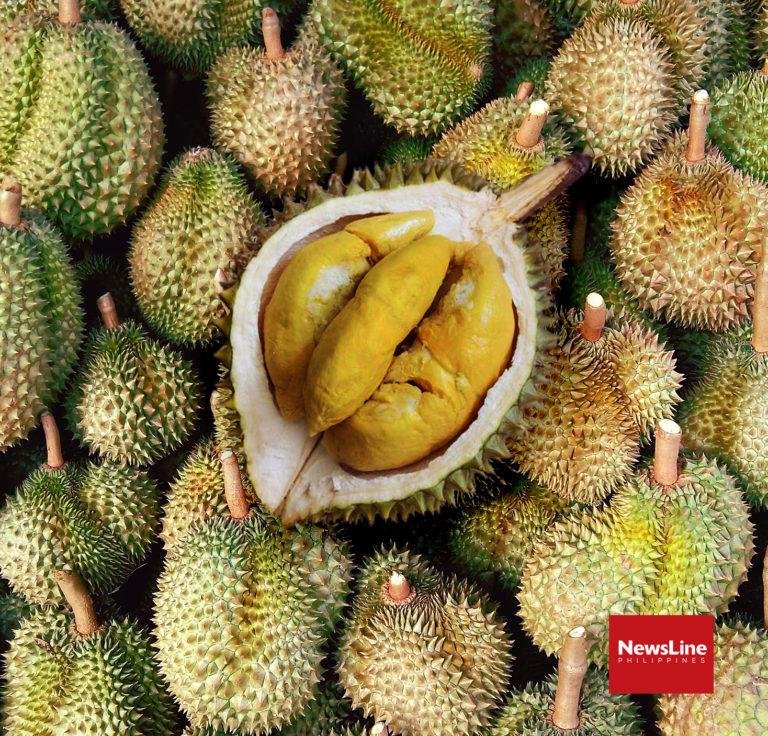 Davao City hosts Ist Philippine Asia Durian Summit