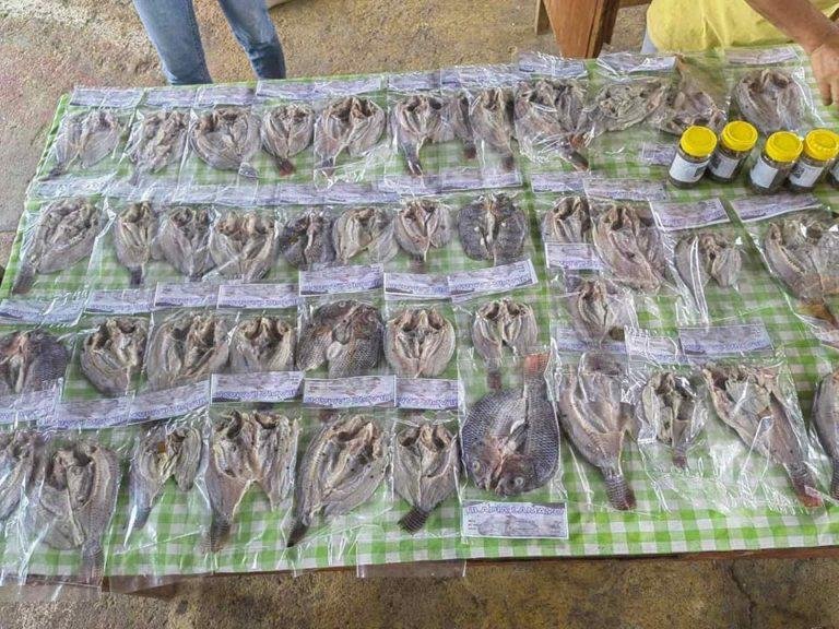 Pagasa, Cotabato empowers fish processing with value-adding training
