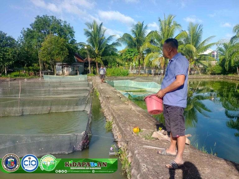 LGU distributes tilapia and hito fingerlings to 470 residents in Kidapawan City