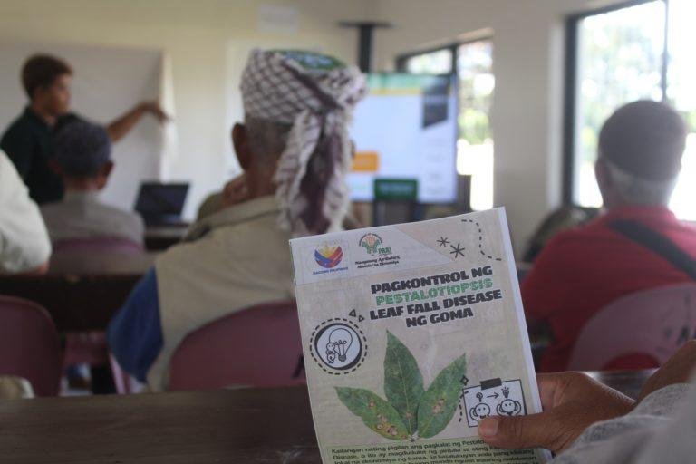 Rubber farmers of Basilan now armed with knowledge to fight Pestalotiopsis