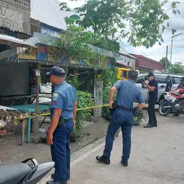 Mother and son killed over land  row