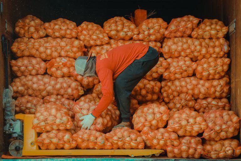 Oversupply of onion prompts DA  to temporarily suspend importation