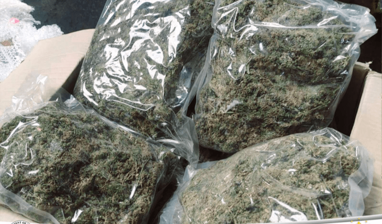 Customs intercepts  P76 million dried marijuana from Thailand
