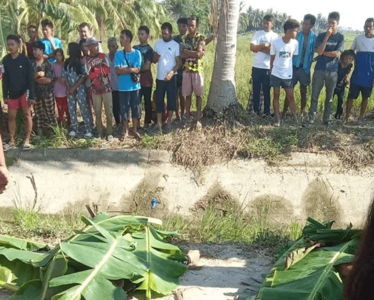 4 MILF members killed in Maguindanao Sur ambush