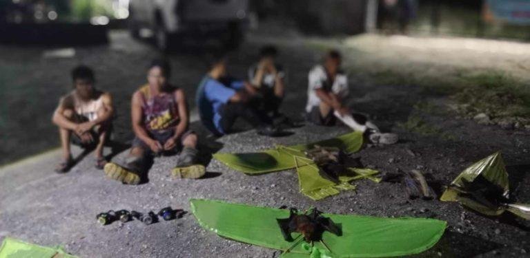 Five flying fox hunters arrested in Davao City