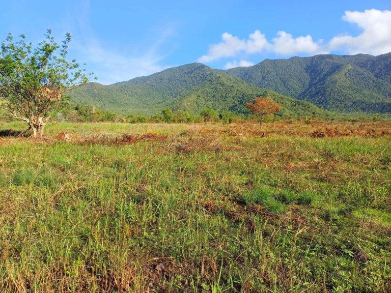 Davao Oriental solar power plant to kick off in October
