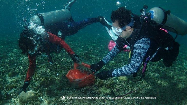 Environmentalists  extract harmful starfish to protect the ecosystem