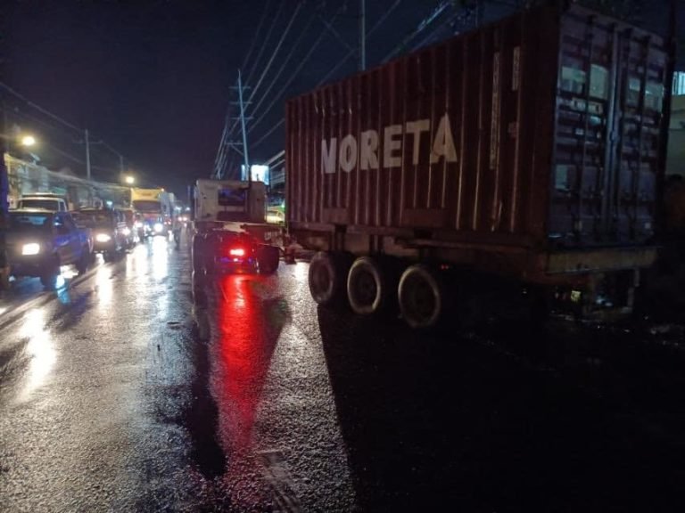 Driver dies after being run over by his truck