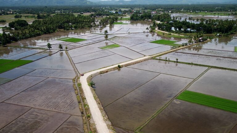 Road improvement projects foster agri areas of Davao Oriental
