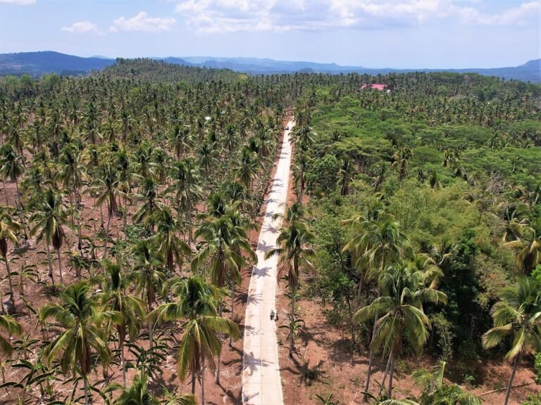 New access road boosts connectivity for San Miguel,  Zamboanga del Norte  farmers