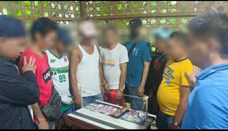 Six arrested in spider derby