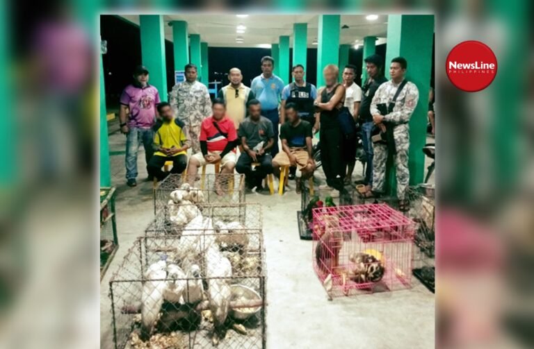 Illegal wildlife shipment intercepted in Davao Oriental