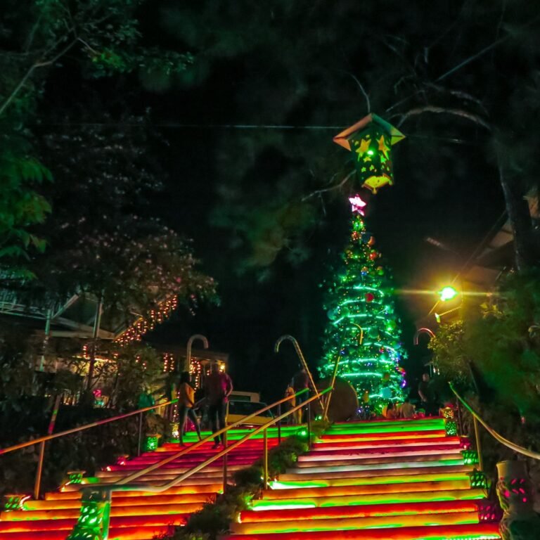 Eden Nature Park illuminates 45-foot candyland-themed christmas tree in Davao City”