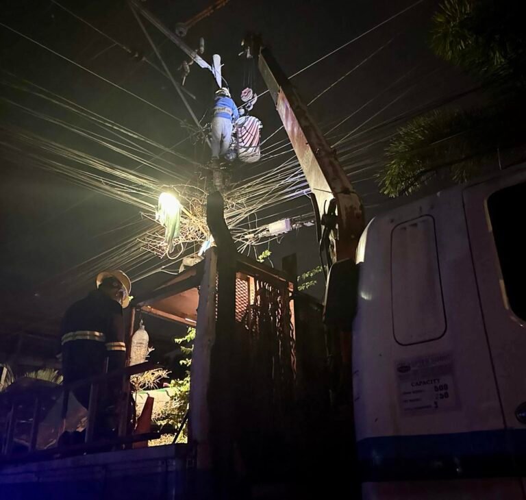 30-minute switching power interruption on December 22 in some parts of Davao City