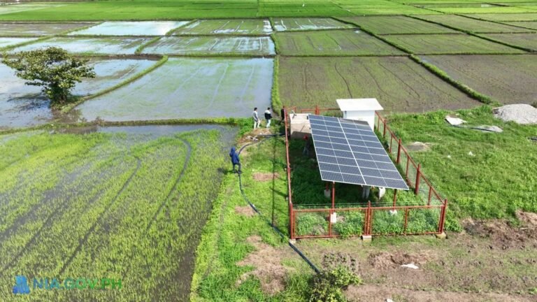 Davao City completes 2nd solar-powered irrigation system in Paquibato