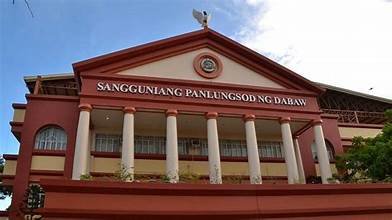 Davao City RPT amnesty, special levies approved