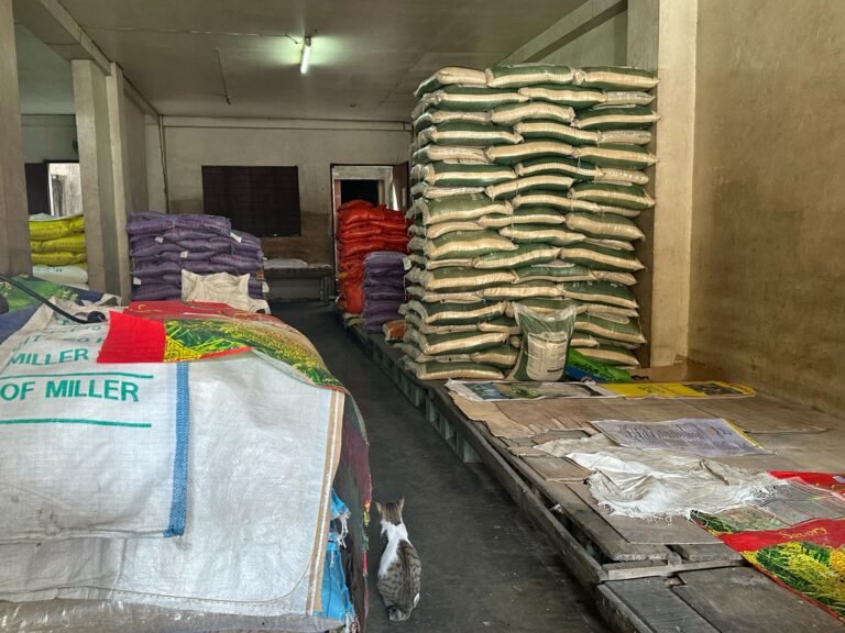 Government allocates P5 billion to help vulnerable sectors Access Cheap Rice