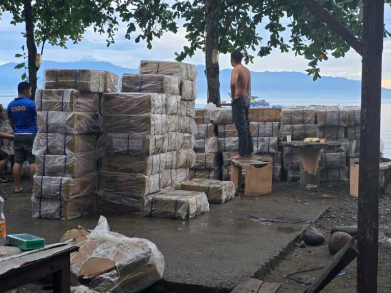 CIDG seizes PHP 21 million worth of smuggled cigarettes in Davao del Sur