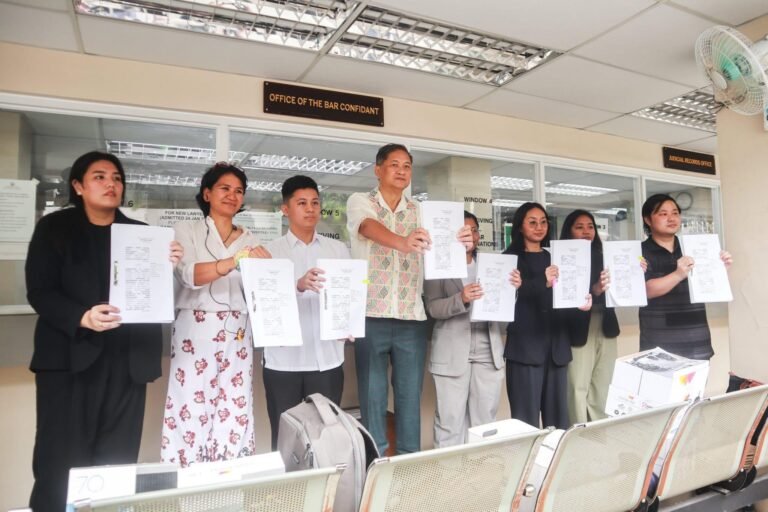 Environmental case filed vs. Samal-Davao connector project