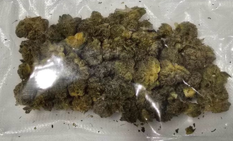 NBI discover P23-M worth of shabu and “kush” in Davao