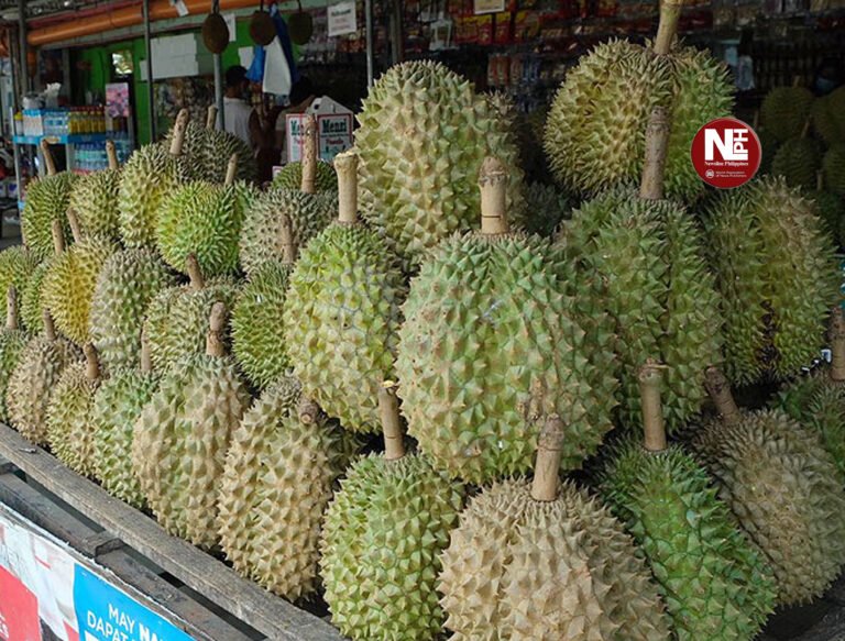 CAGRO assures Durian supply for Kadayawan despite lower yield