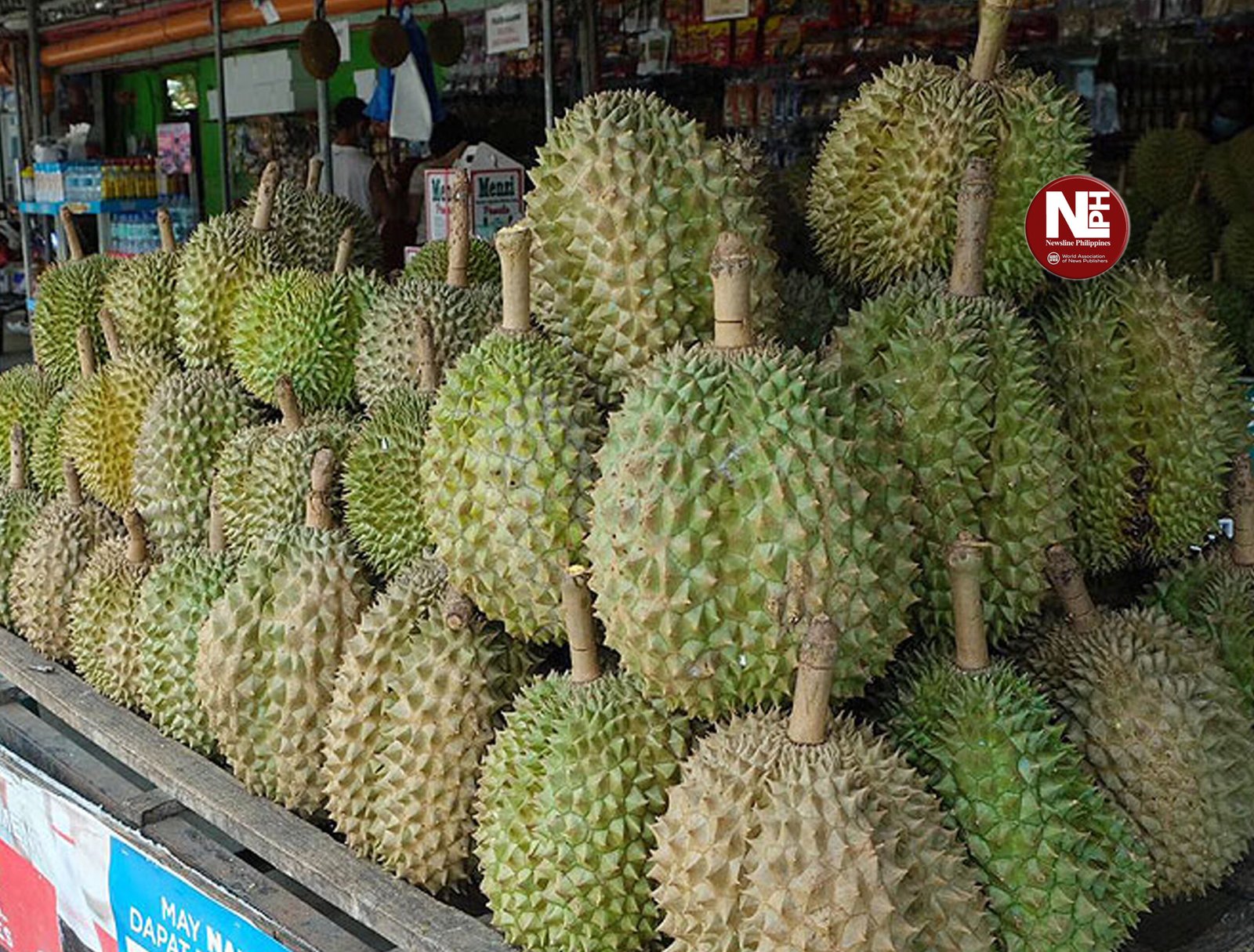 DURIAN WEB