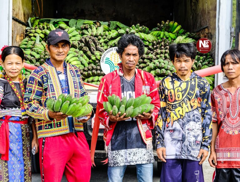 Davao IPs’ Cardava bananas to conquer global market
