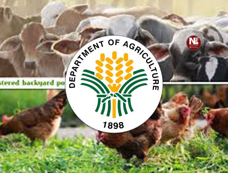 Government to co-invest P20 billion annually for livestock industry