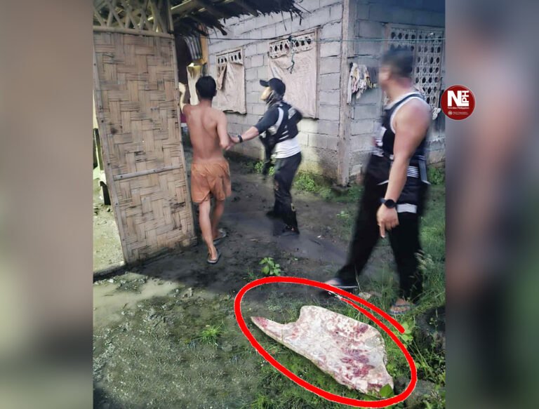 3 Arrested for Slaughtering Endangered Sea Turtles in Sarangani
