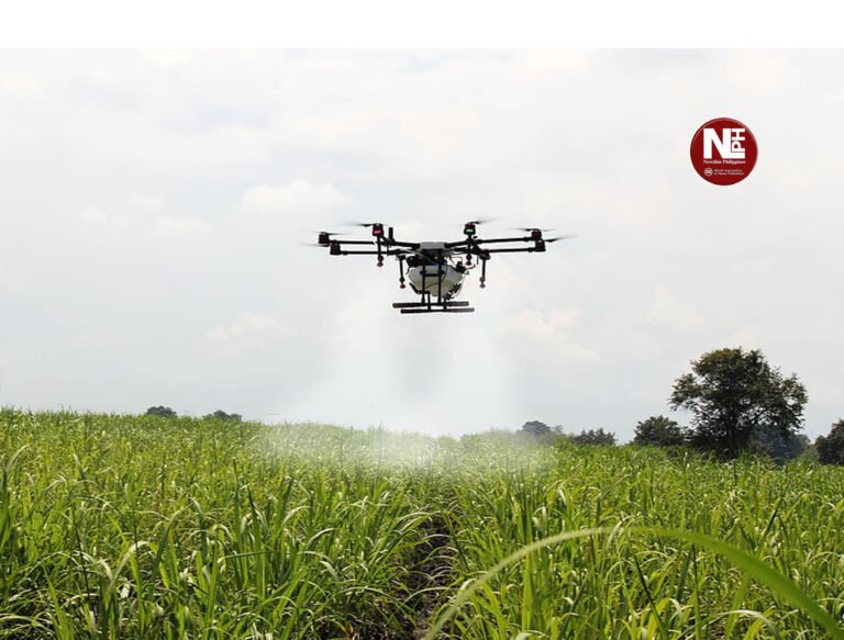 Drone weed control matches traditional spraying in rice farms — PhilRice