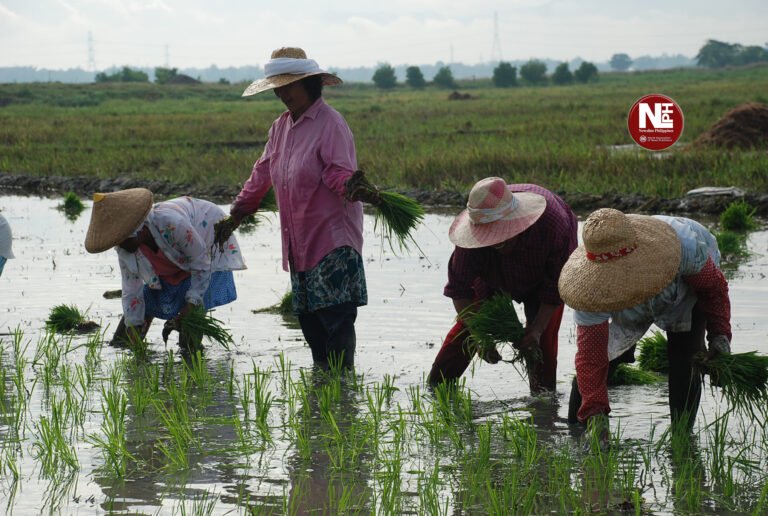 Mindanao farmers to benefit as PH secures ₱8.7-M climate grant