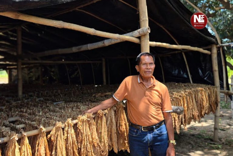 Mindanao tobacco farmers hit hard by smuggled cigarettes — group