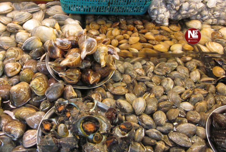 Red tide warnings persist in Lianga Bay, Surigao del Sur