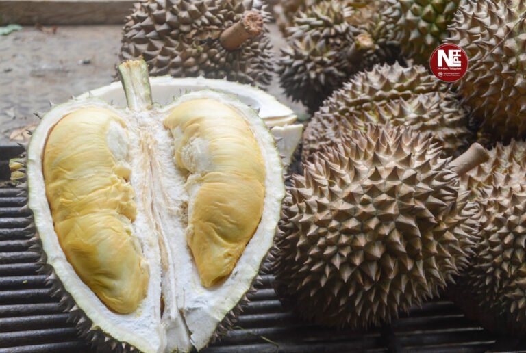 Durian Summit to boost Davao farmers’ global edge